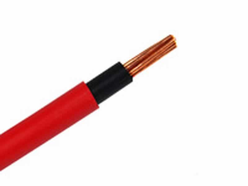 6181Y Conducteur en cuivre à noyau unique,Câbles de câblage électrique gainés de PVC isolés en PVC (300/500V)