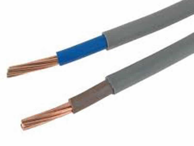 6181Y Conducteur en cuivre à noyau unique,Câbles de câblage électrique gainés de PVC isolés en PVC (300/500V)